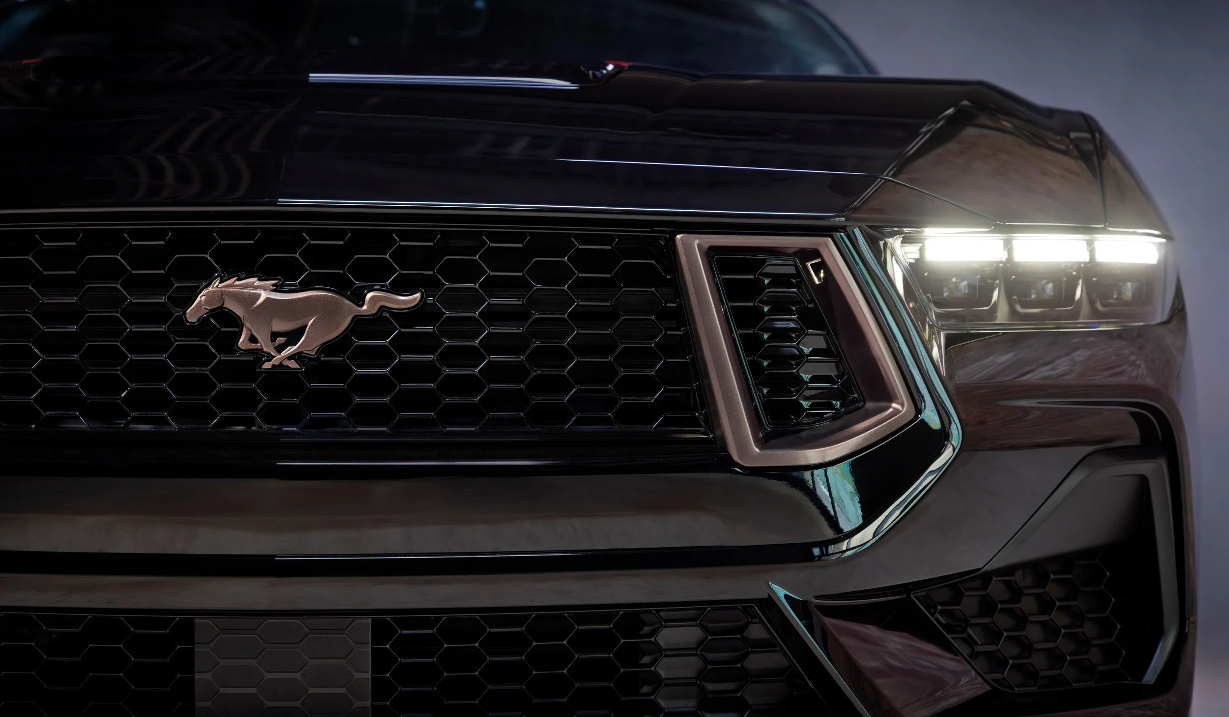 Ford Mustang EcoBoost TLD Signature Edition